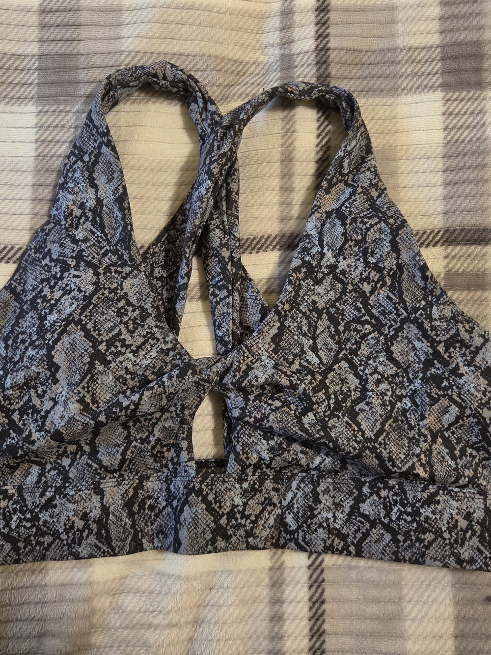 Oasis Twist Sports Bra- Snake Print Halter Sports Bra in Black and Gray